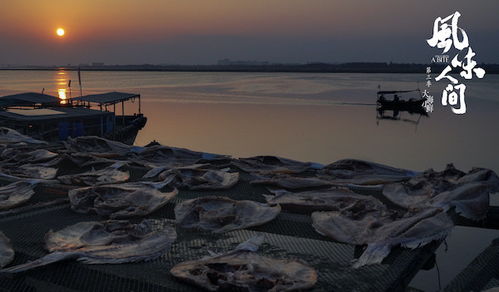 可爱海岸