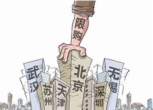 新政主要内容及其影响