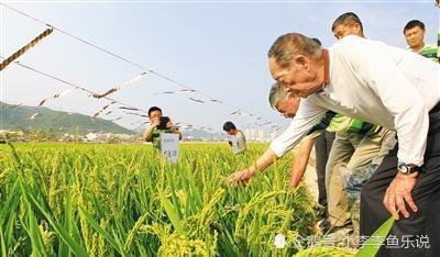 对话郝景芳：不是技术本身不能平权，而是很多人更希望自己有特权