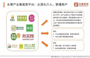 从橡果国际购物网看中国电商行业的崛起与变迁