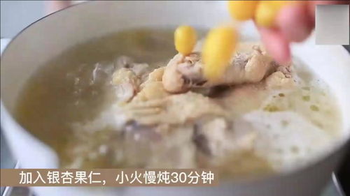 滋养美味的养生佳肴