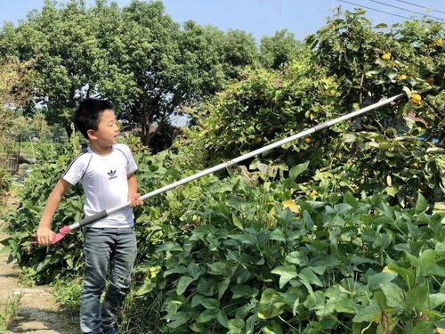 中秋国庆双节动态图，点亮团圆与欢庆的数字画卷