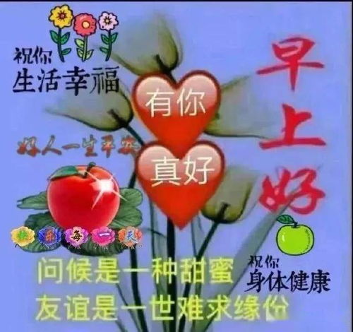 祝福信息大全，传递温暖与美好的语言宝库