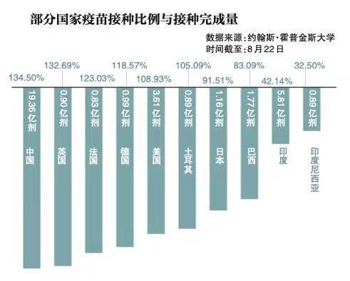 从选材到成品的全方位解析