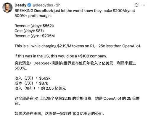 DeepSeek利润率解析，探寻背后的逻辑与市场策略